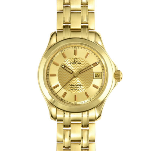 Omega Seamaster 120M 2101.11.00