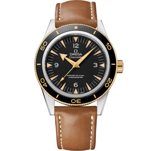 Omega Seamaster 300 233.22.41.21.01.001