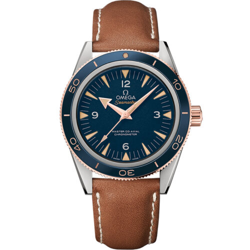 Omega Seamaster 300 233.62.41.21.03.001