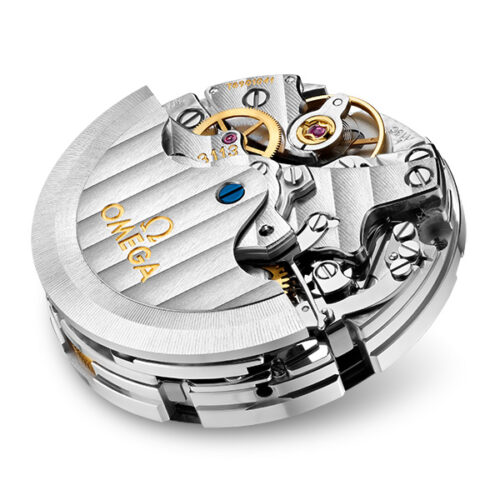 Watch Calibre 3113
