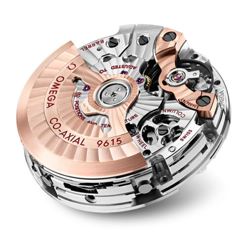 Watch Calibre 9615