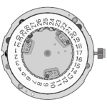 251 233 Recto