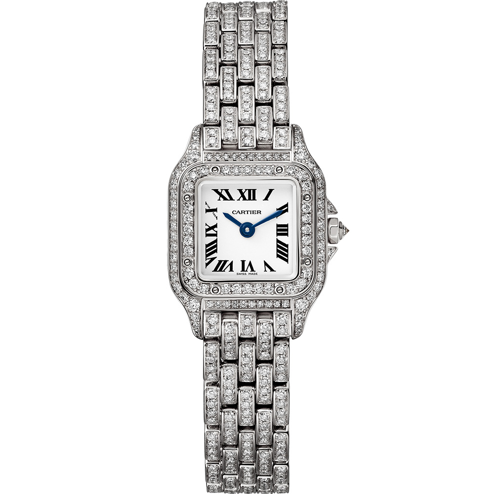 Cartier Panthere De Cartier Hpi01719
