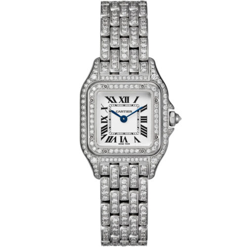 Cartier Panthere De Cartier Hpi01720