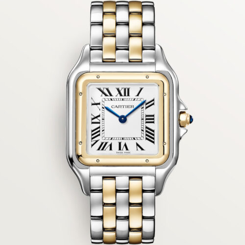 Cartier Panthere De Cartier W2pn0012