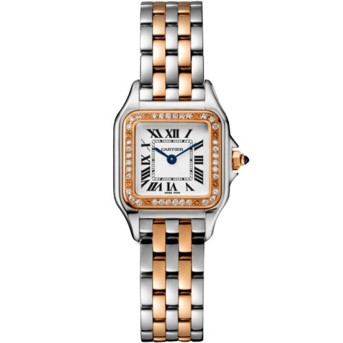 Cartier Panthere De Cartier W3pn0006