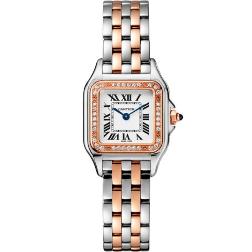Cartier Panthere De Cartier W3pn0009