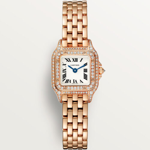 Cartier Panthere De Cartier Wjpn0068