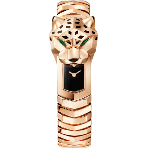 Cartier Panthere Jewelry Hpi01740