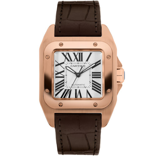 Cartier Santos De Cartier W20108y1