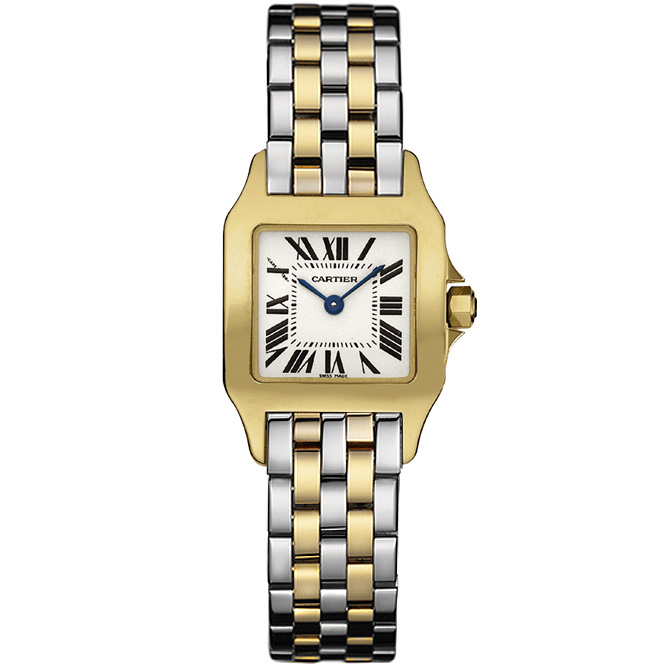 Cartier Santos De Cartier W25063z6