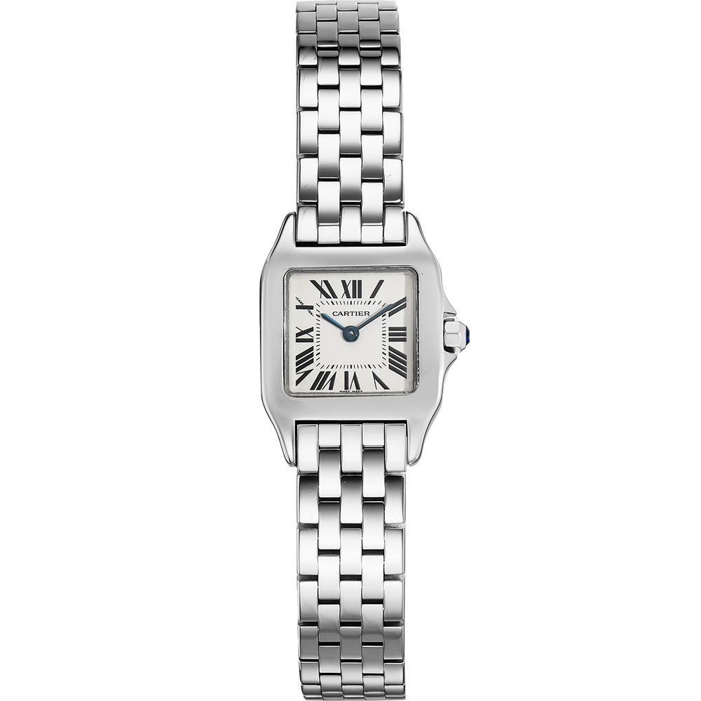 Cartier Santos De Cartier W25064z5