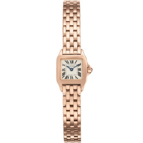 Cartier Santos De Cartier W25077x9