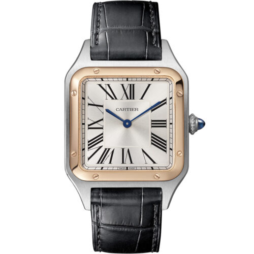 Cartier Santos De Cartier W2sa0011