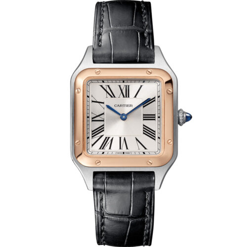 Cartier Santos De Cartier W2sa0012
