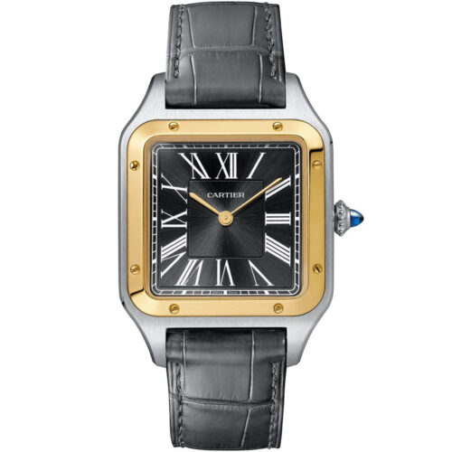Cartier Santos De Cartier W2sa0015