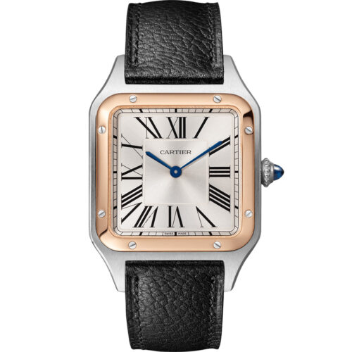 Cartier Santos De Cartier W2sa0019