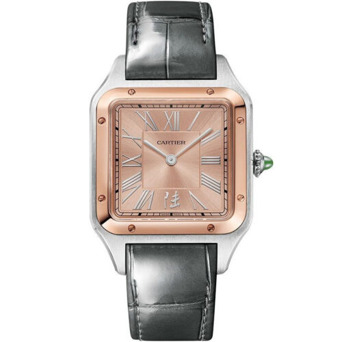 Cartier Santos De Cartier W2sa0027