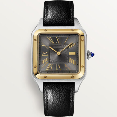 Cartier Santos De Cartier W2sa0029