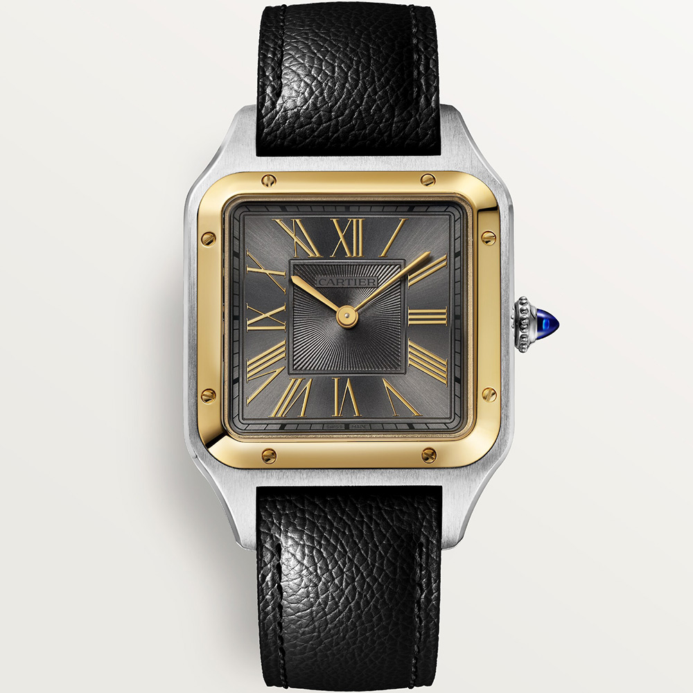 Cartier Santos De Cartier W2sa0029