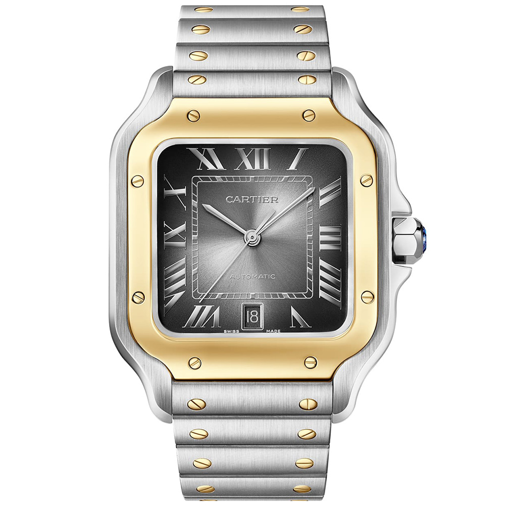 Cartier Santos De Cartier W2sa0030