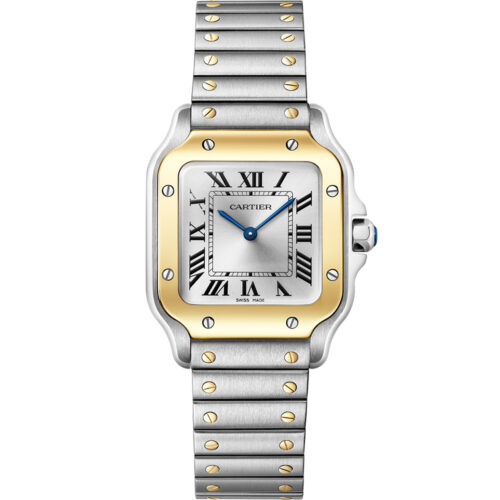 Cartier Santos De Cartier W2sa0033