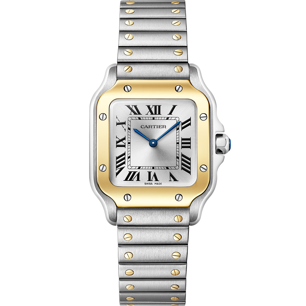 Cartier Santos De Cartier W2sa0033