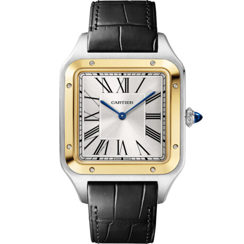 Cartier Santos De Cartier W2sa0034