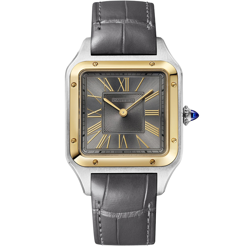Cartier Santos De Cartier W2sa0036