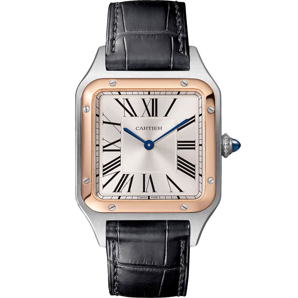 Cartier Santos De Cartier W2sa0037