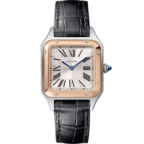 Cartier Santos De Cartier W2sa0038