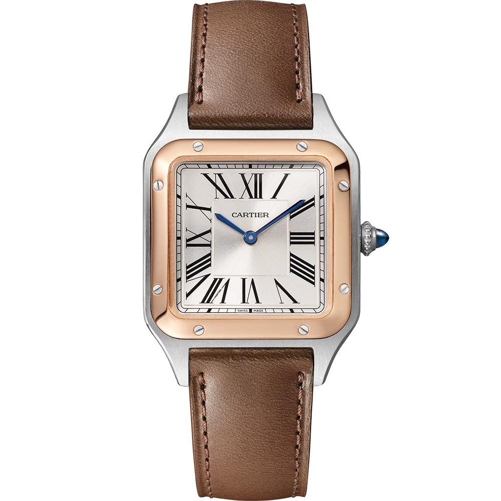 Cartier Santos De Cartier W2sa0041