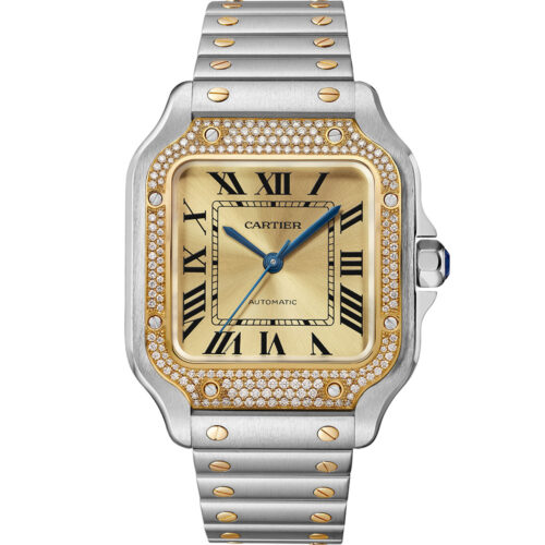 Cartier Santos De Cartier W3sa0007