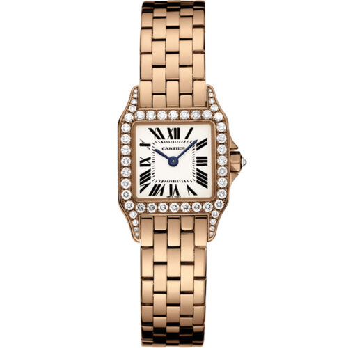 Cartier Santos De Cartier Wf9008z8