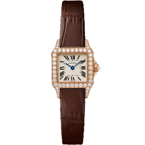 Cartier Santos De Cartier Wf902004