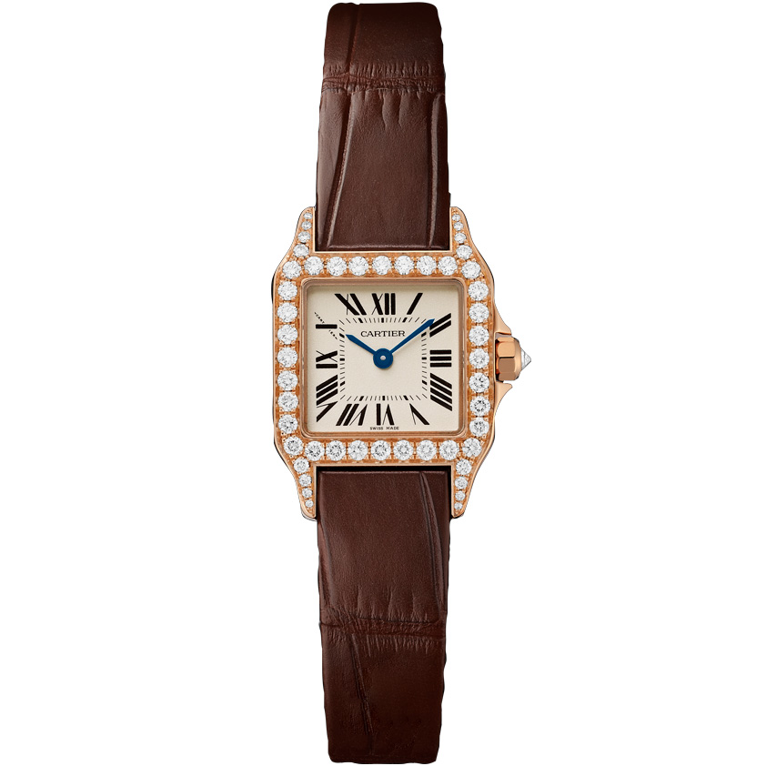 Cartier Santos De Cartier Wf902004