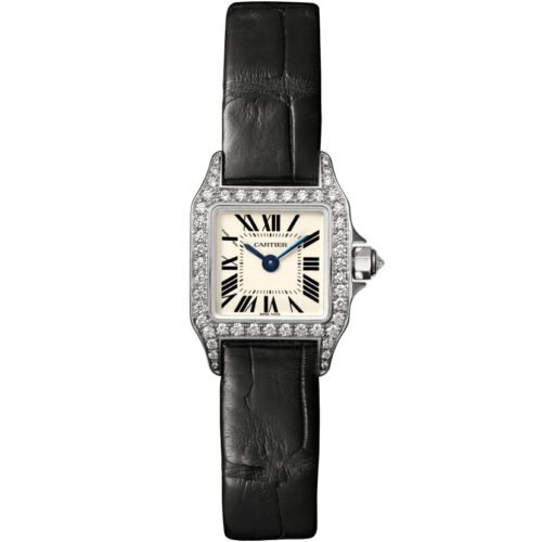 Cartier Santos De Cartier Wf902005