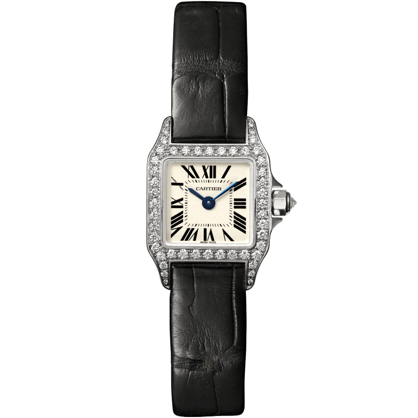 Cartier Santos De Cartier Wf902005