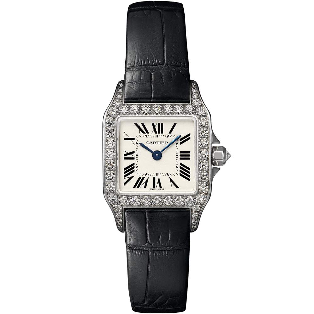 Cartier Santos De Cartier Wf902007