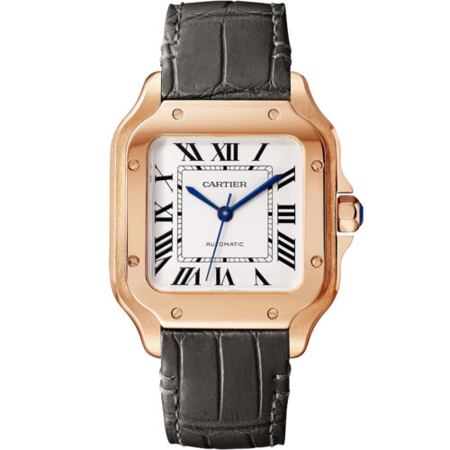 Cartier Santos De Cartier Wgsa0028