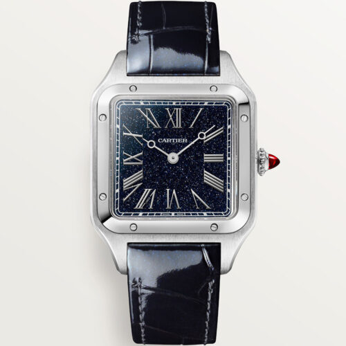 Cartier Santos De Cartier Wgsa0099