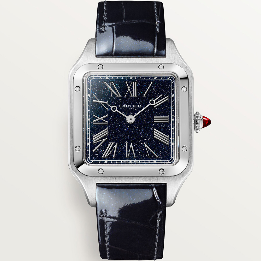 Cartier Santos De Cartier Wgsa0099