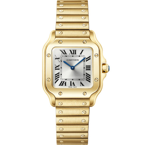 Cartier Santos De Cartier Wgsa0107