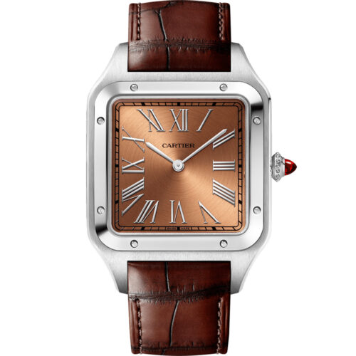 Cartier Santos De Cartier Wgsa0113