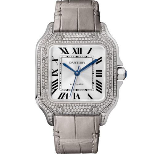 Cartier Santos De Cartier Wjsa0014