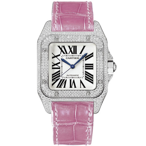 Cartier Santos De Cartier Wm501751