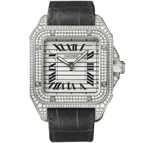 Cartier Santos De Cartier Wm505014