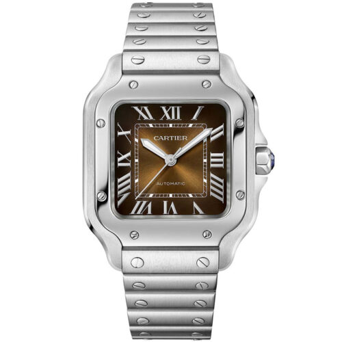 Cartier Santos De Cartier Wssa0064