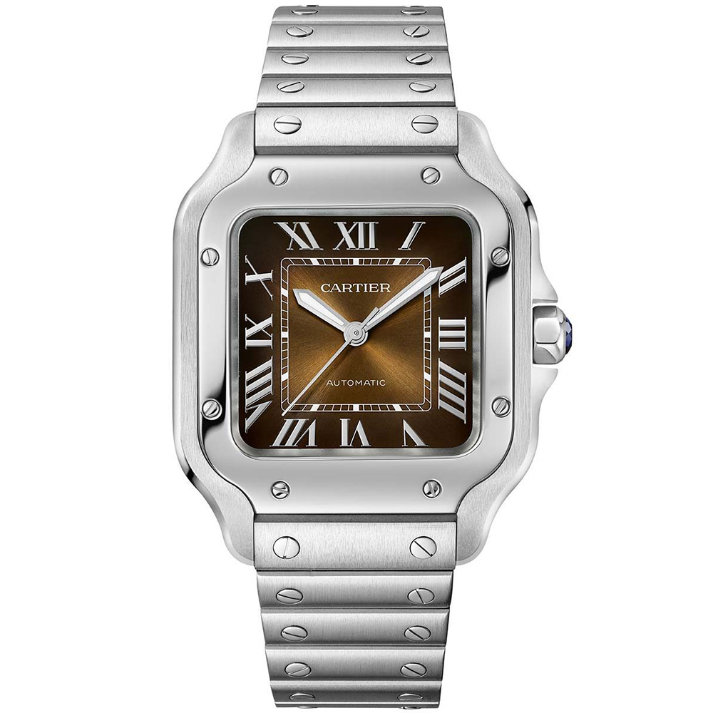 Cartier Santos De Cartier Wssa0064