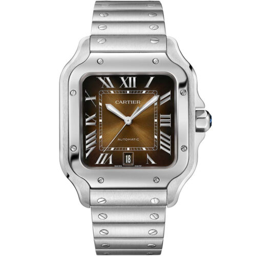 Cartier Santos De Cartier Wssa0065
